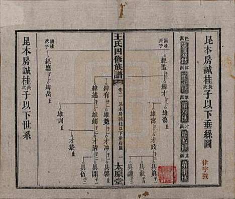 湖南[王姓] 王氏四修族谱 — 民国35年（1946）_二.pdf