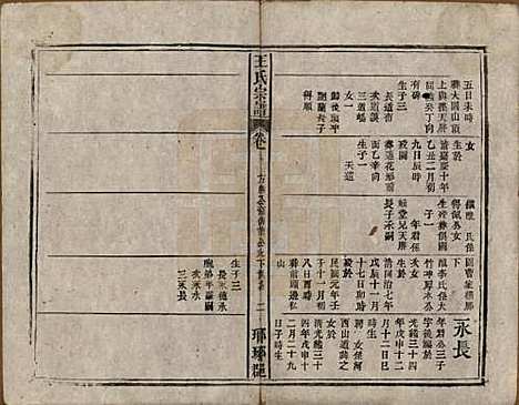 中国[王姓] 王氏宗谱八卷首三卷末一卷 — 民国十七年（1928）_五.pdf