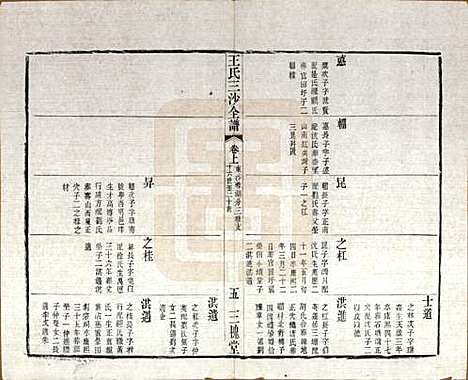 江苏[王姓] 王氏三沙全谱不分卷 — 清光绪二年（1876）_二十九.pdf