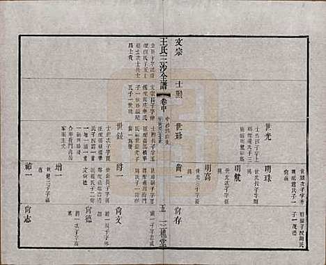 江苏[王姓] 王氏三沙全谱不分卷 — 清光绪二年（1876）_九十.pdf