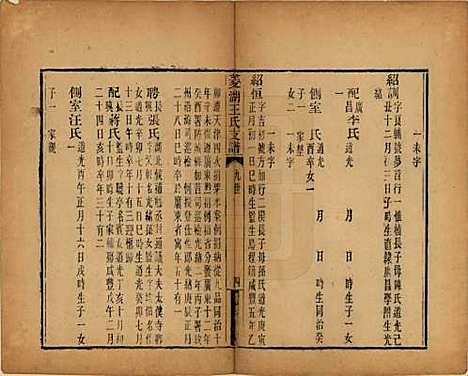 浙江[王姓] 太原王氏菱湖支谱不分卷 — 清光绪二十年（1894）_八.pdf