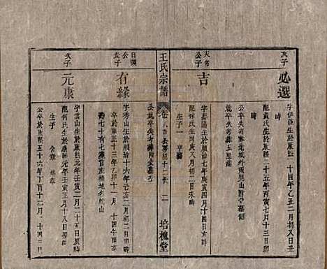 安徽[王姓] 王氏宗谱 — 清同治5年[1866]_八.pdf