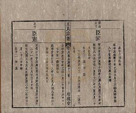 安徽[王姓] 王氏宗谱 — 清同治5年[1866]_八.pdf