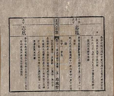 安徽[王姓] 王氏宗谱 — 清同治5年[1866]_十一.pdf