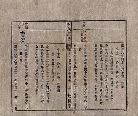 安徽[王姓] 王氏宗谱 — 清同治5年[1866]_十二.pdf