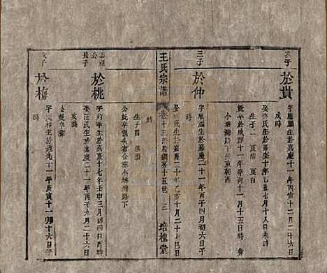 安徽[王姓] 王氏宗谱 — 清同治5年[1866]_十三.pdf