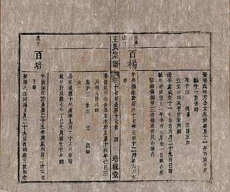 安徽[王姓] 王氏宗谱 — 清同治5年[1866]_十七.pdf