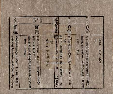 安徽[王姓] 王氏宗谱 — 清同治5年[1866]_十七.pdf