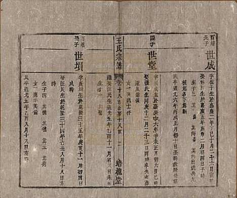 安徽[王姓] 王氏宗谱 — 清同治5年[1866]_十八.pdf