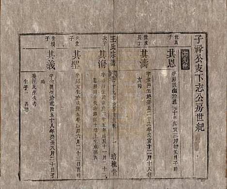 安徽[王姓] 王氏宗谱 — 清同治5年[1866]_十九.pdf