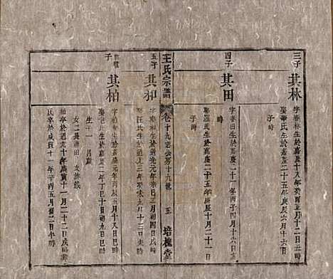 安徽[王姓] 王氏宗谱 — 清同治5年[1866]_十九.pdf