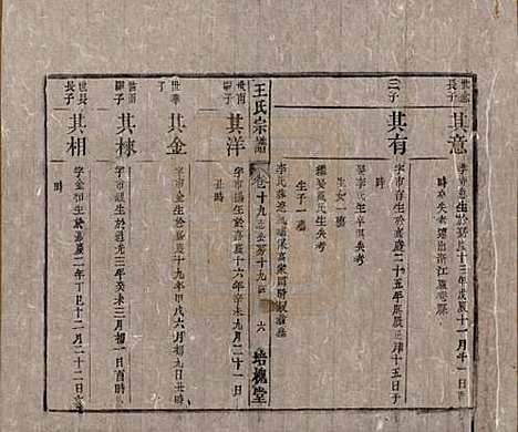 安徽[王姓] 王氏宗谱 — 清同治5年[1866]_十九.pdf