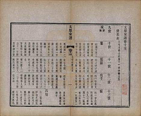 江苏[王姓] 太原王氏家谱二十八卷首一卷末一卷 — 清宣统三年（1911）_十五.pdf