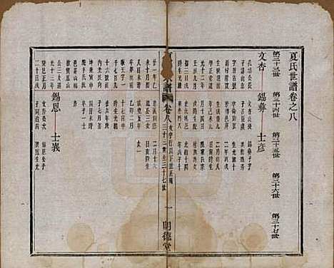 浙江[夏姓] 夏氏宗谱八卷首一卷 — 清宣统元年（1909）_八.pdf