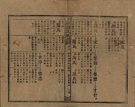 湖南[萧姓] 上车萧氏续修族谱 — 民国9年[1920]_十三.pdf