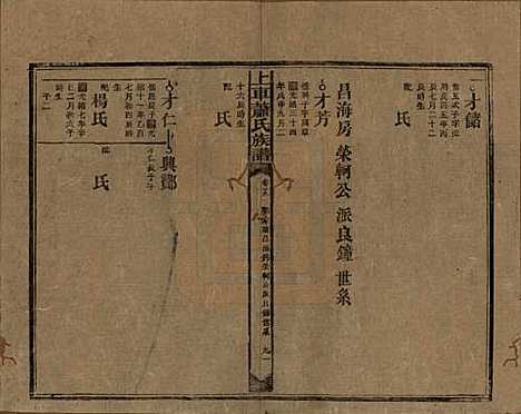 湖南[萧姓] 上车萧氏续修族谱 — 民国9年[1920]_十九.pdf