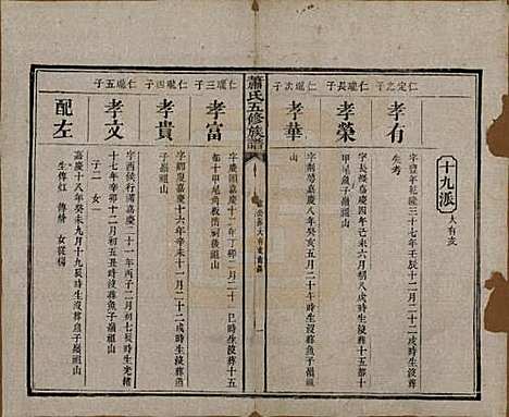 中国[萧姓] 萧氏五修族谱十八卷 — 清光绪三十二年（1906）_十三.pdf