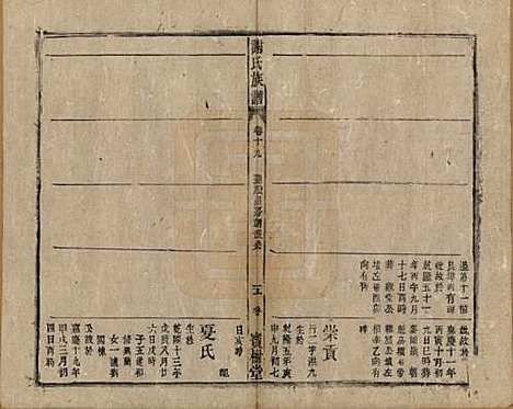 安徽[谢姓] 谢氏族谱 — 清道光26年[1846]_十九.pdf