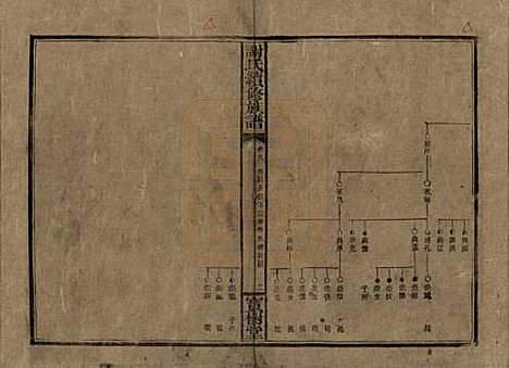 湖南[谢姓] 谢氏续修族谱 — 清宣统3年[1911]_八.pdf