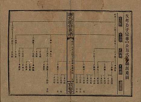 湖南[谢姓] 谢氏续修族谱 — 清宣统3年[1911]_十三.pdf