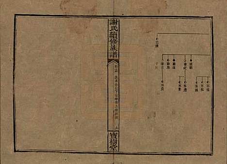 湖南[谢姓] 谢氏续修族谱 — 清宣统3年[1911]_十三.pdf