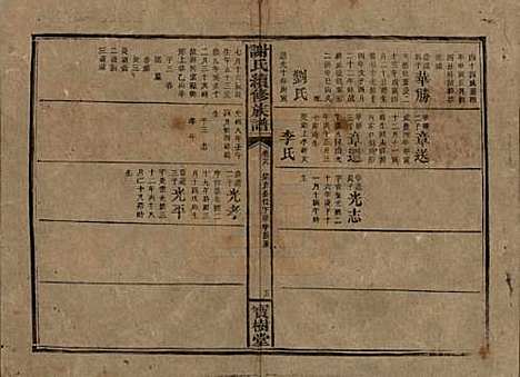 湖南[谢姓] 谢氏续修族谱 — 清宣统3年[1911]_二十八.pdf