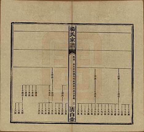 湖南[杨姓] 杨氏家谱 — 民国10年[1921]_十四.pdf