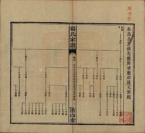 湖南[杨姓] 杨氏家谱 — 民国10年[1921]_十五.pdf