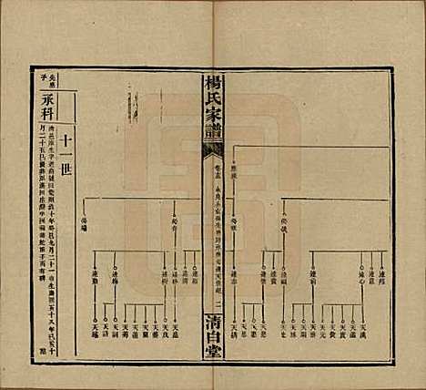 湖南[杨姓] 杨氏家谱 — 民国10年[1921]_十五.pdf