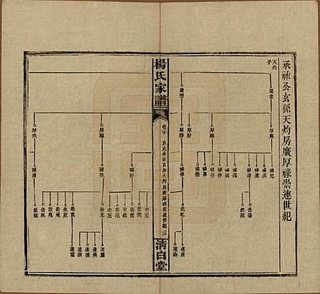 湖南[杨姓] 杨氏家谱 — 民国10年[1921]_二十.pdf