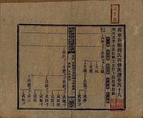 湖南[杨姓] 邵东新桥杨氏四修族谱 — 民国30年[1941]_四十六.pdf