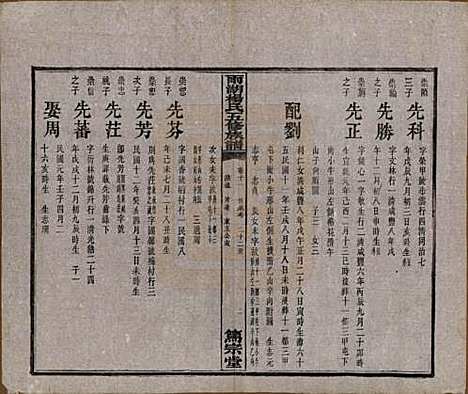 湖南[杨姓] 雨湖杨氏五修族谱二十卷 — 民国二十年（1931）_十一.pdf