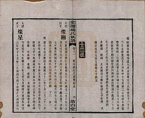 湖南[杨姓] 中湘棠湾杨氏六修谱二十卷 — 民国十五年（1926）_十一.pdf