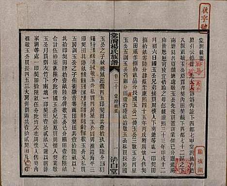 湖南[杨姓] 中湘棠湾杨氏六修谱二十卷 — 民国十五年（1926）_二十.pdf