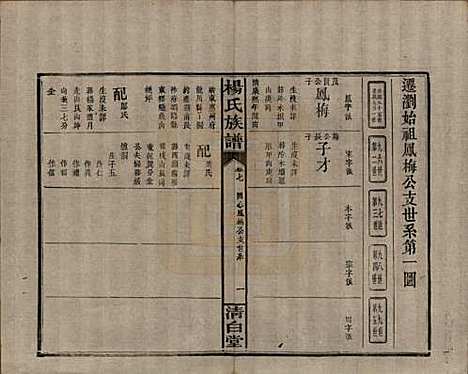 湖南[杨姓] 杨氏族谱 — 清光绪27年[1901]_七.pdf