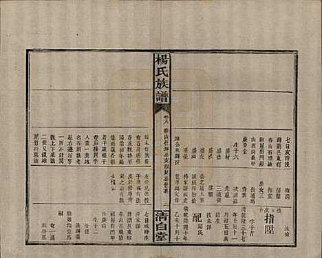 湖南[杨姓] 杨氏族谱 — 清光绪27年[1901]_八.pdf