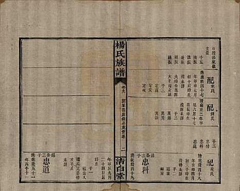 湖南[杨姓] 杨氏族谱 — 清光绪27年[1901]_九.pdf