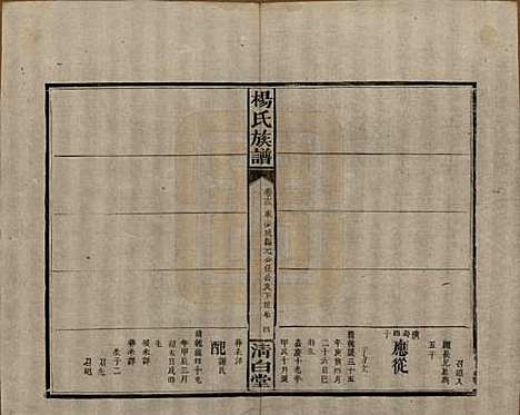 湖南[杨姓] 杨氏族谱 — 清光绪27年[1901]_十三.pdf