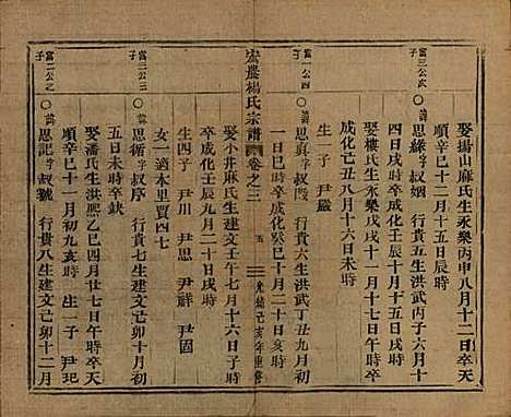 中国[杨姓] 弘农杨氏宗谱□□卷 — 清光绪二十五年（1899）_三.pdf