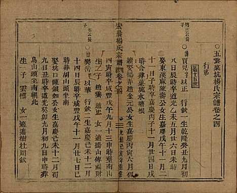 中国[杨姓] 弘农杨氏宗谱□□卷 — 清光绪二十五年（1899）_四.pdf