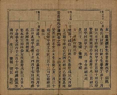 中国[杨姓] 弘农杨氏宗谱□□卷 — 清光绪二十五年（1899）_四.pdf