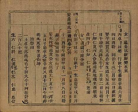 中国[杨姓] 弘农杨氏宗谱□□卷 — 清光绪二十五年（1899）_四.pdf