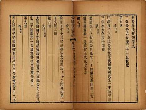 江苏[杨姓] 安阳杨氏族谱二十四卷 — 清同治十二年(1873)_九.pdf