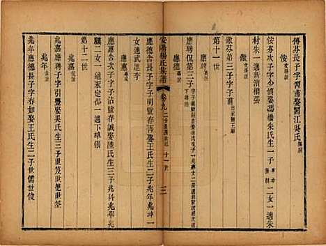 江苏[杨姓] 安阳杨氏族谱二十四卷 — 清同治十二年(1873)_九.pdf