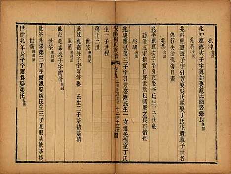 江苏[杨姓] 安阳杨氏族谱二十四卷 — 清同治十二年(1873)_九.pdf