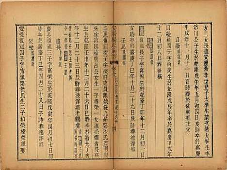 江苏[杨姓] 安阳杨氏族谱二十四卷 — 清同治十二年(1873)_十一.pdf