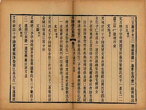 江苏[杨姓] 安阳杨氏族谱二十四卷 — 清同治十二年(1873)_十三.pdf