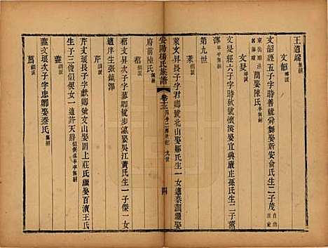 江苏[杨姓] 安阳杨氏族谱二十四卷 — 清同治十二年(1873)_十三.pdf