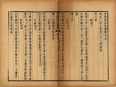 江苏[杨姓] 安阳杨氏族谱二十四卷 — 清同治十二年(1873)_十五.pdf