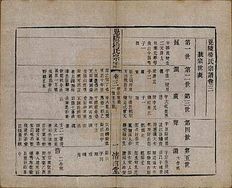 中国[杨姓] 杨氏宗谱八卷 — 清同治十二年（1873）_三.pdf